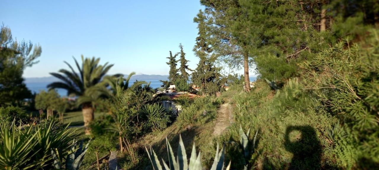 Seaside View Villa Hanióti Kültér fotó
